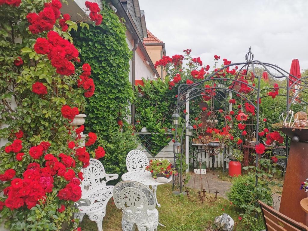 Cafesahne U Pension Дранске Экстерьер фото
