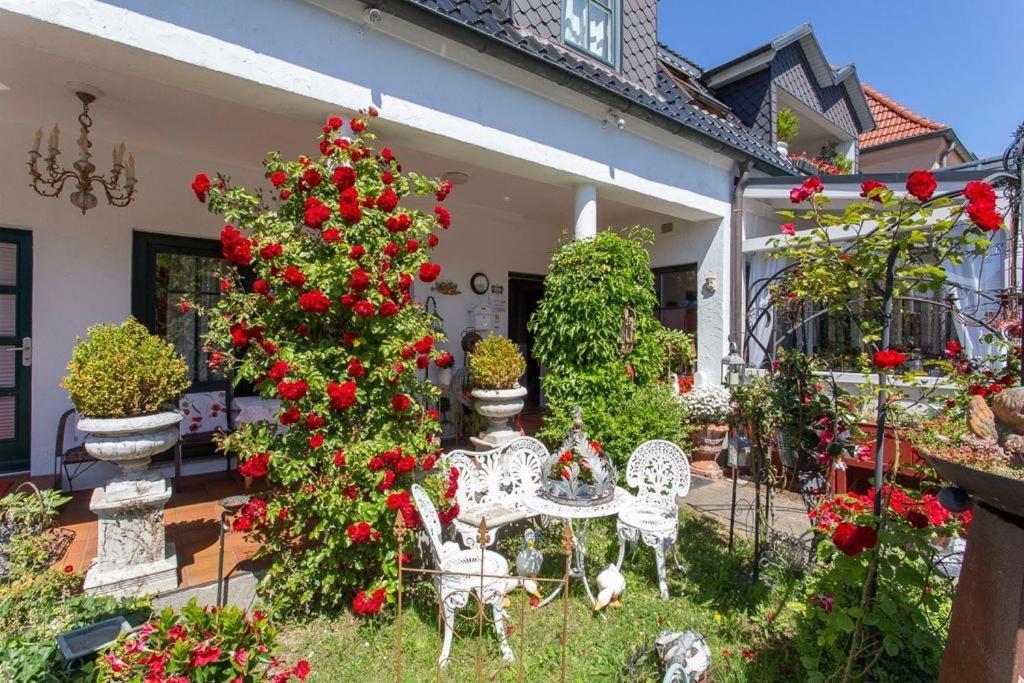 Cafesahne U Pension Дранске Экстерьер фото